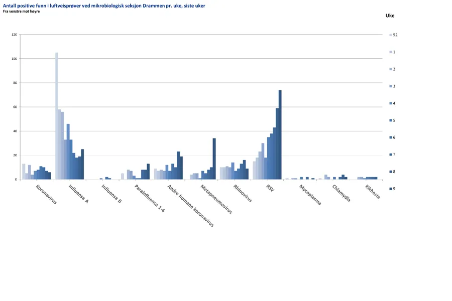 Chart, bar chart, histogram