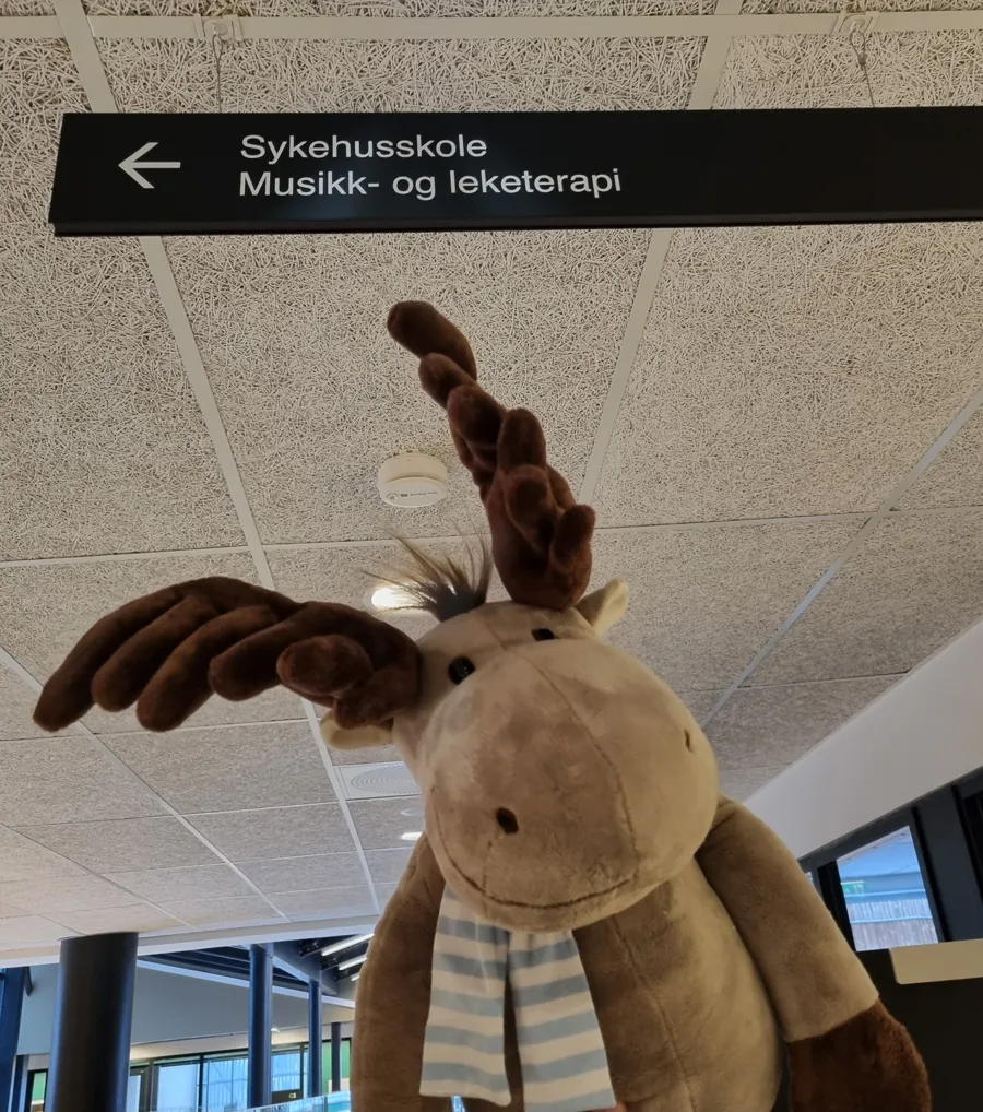 Maskoten på Drammen sykehus Elvin, viser vei til sykehusskolen og leketerapi