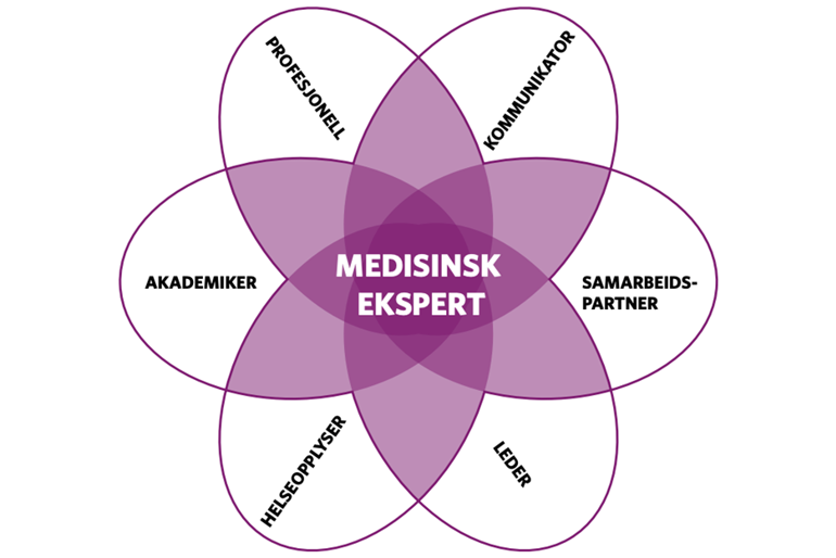 Diagram, venn-diagram