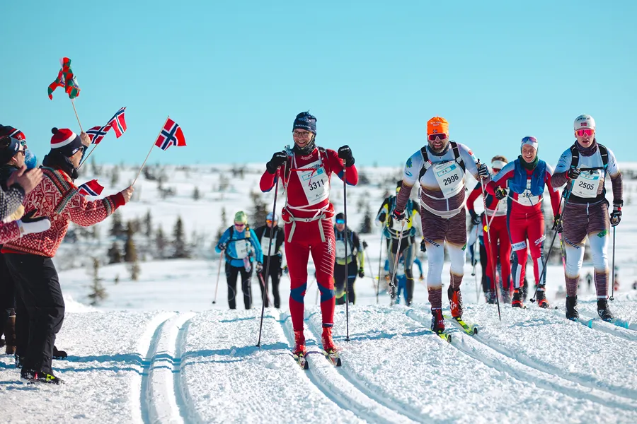 En gruppe skiløpere på et snødekt fjell