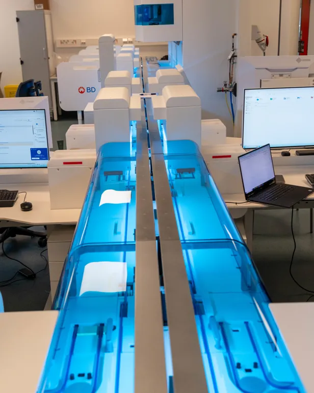 Et rom med datamaskiner og stoler