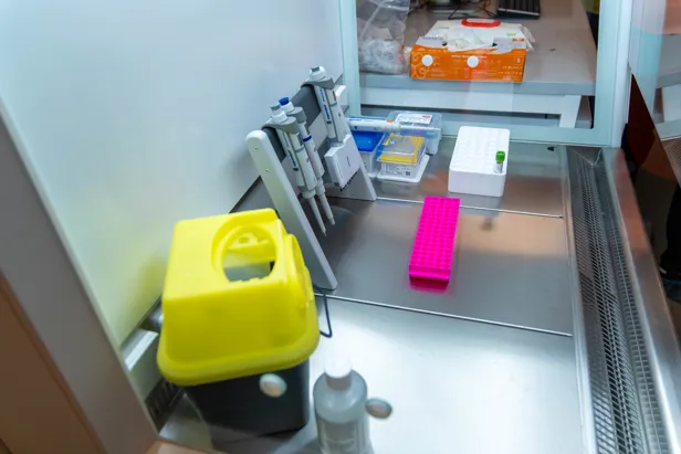 En gul og rød maskin på en disk