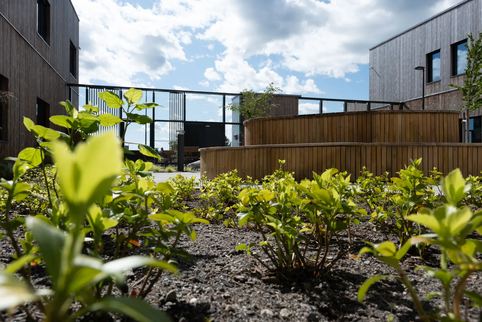 A garden with a fence and buildings