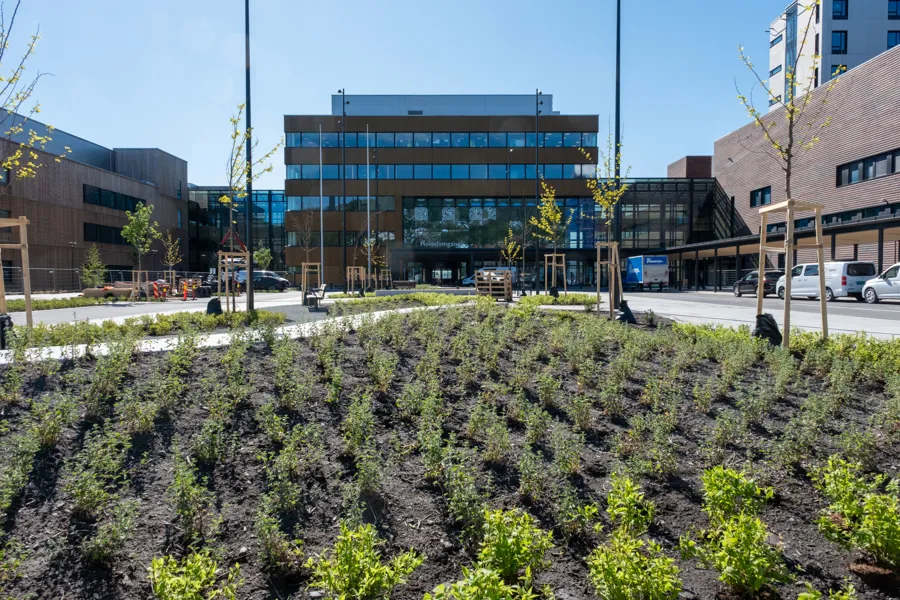 En bygning med mange planter foran seg