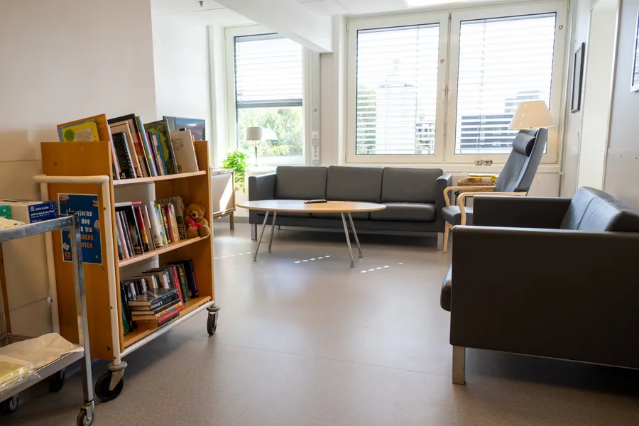 En stue med bokhylle og sofa