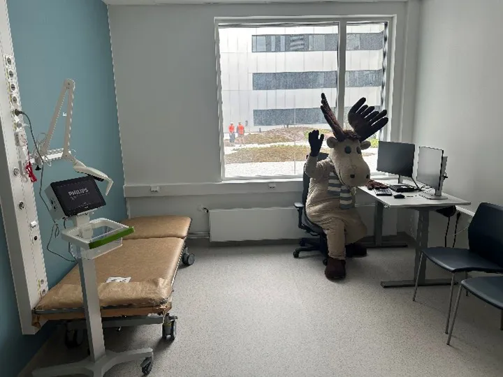 A person wearing a rabbit garment