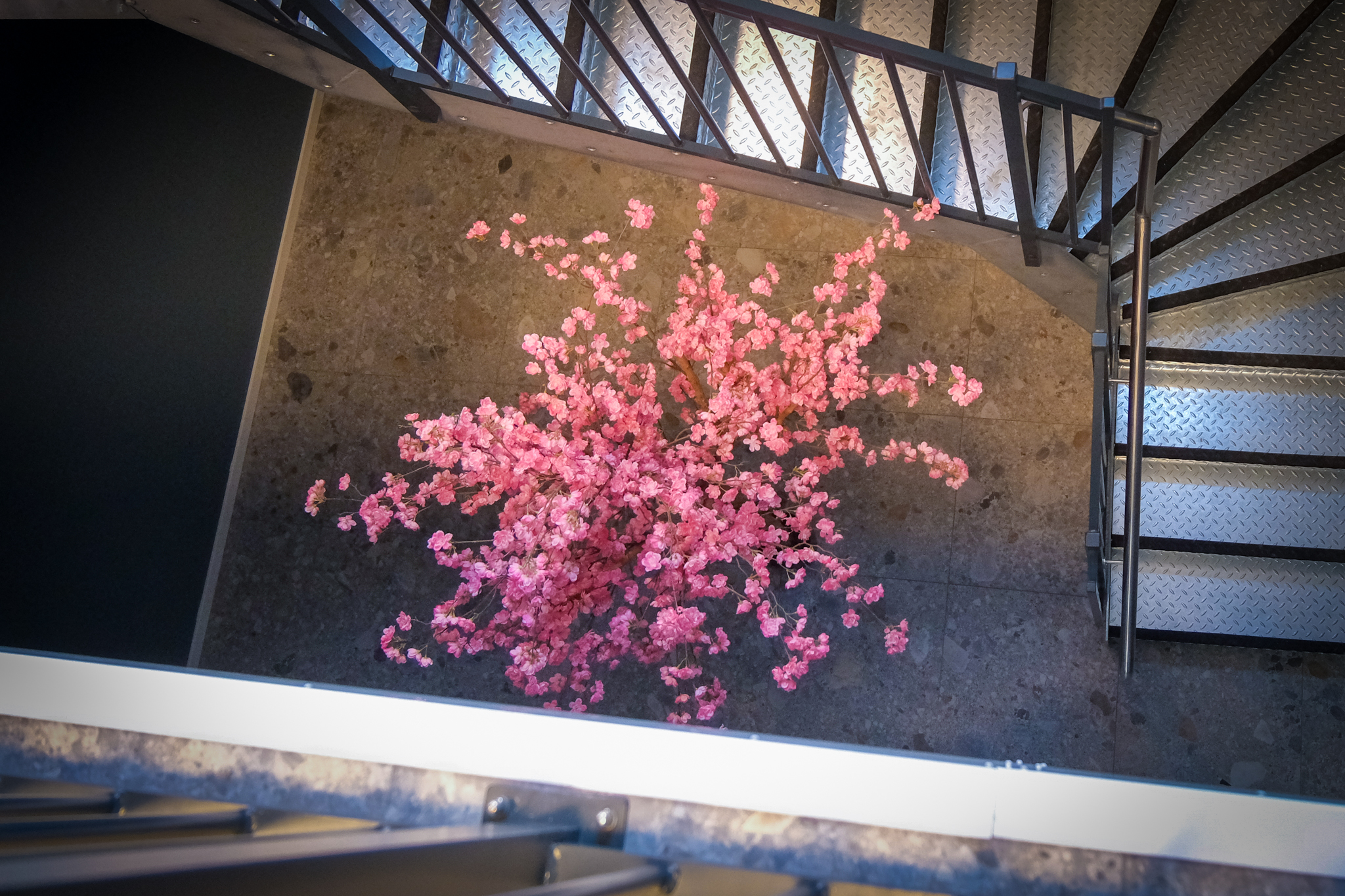 Et tre med rosa blomster