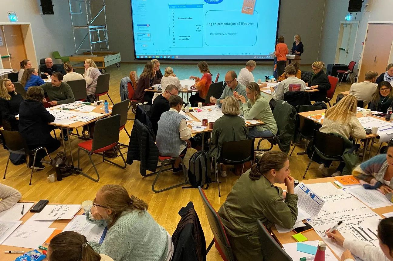 Forbedringsagenter i Vestre Viken