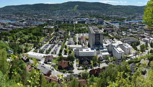En by med mange bygninger og trær