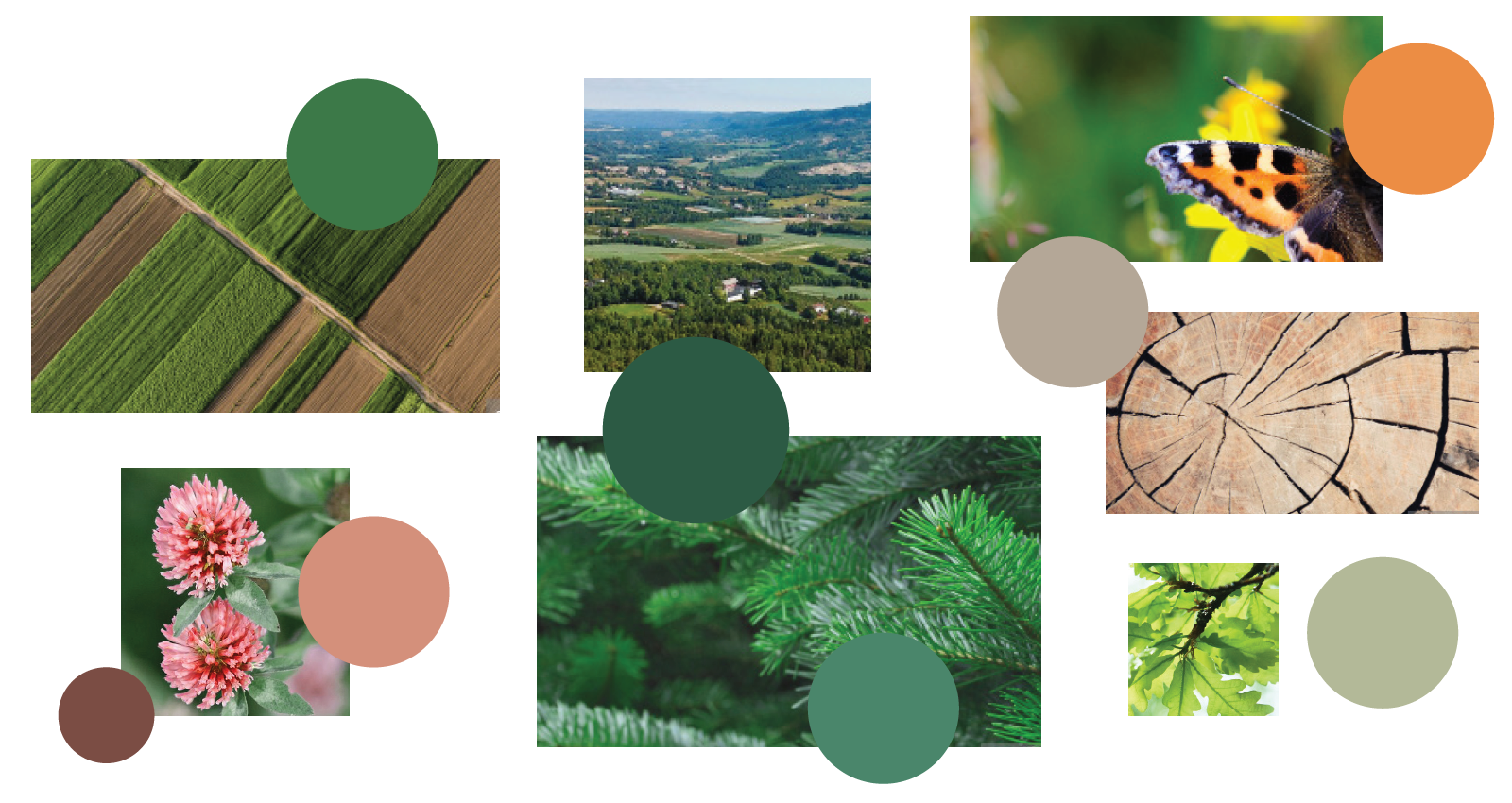 Fargepalett psykiatribyggene