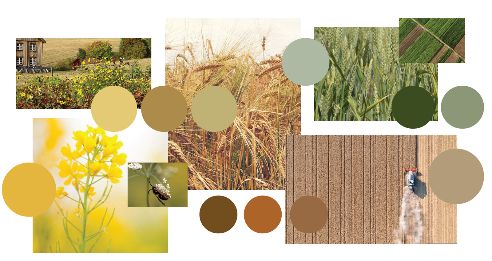 Interiørkonsept sengebygg