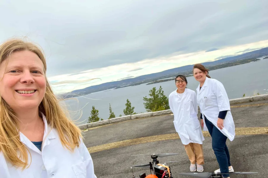 En gruppe mennesker på en vei