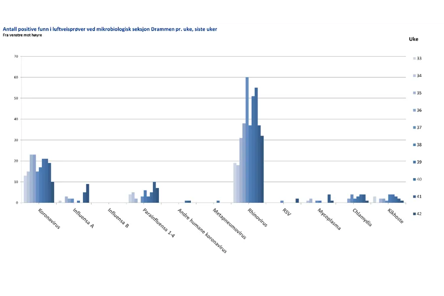 Chart, bar chart, histogram