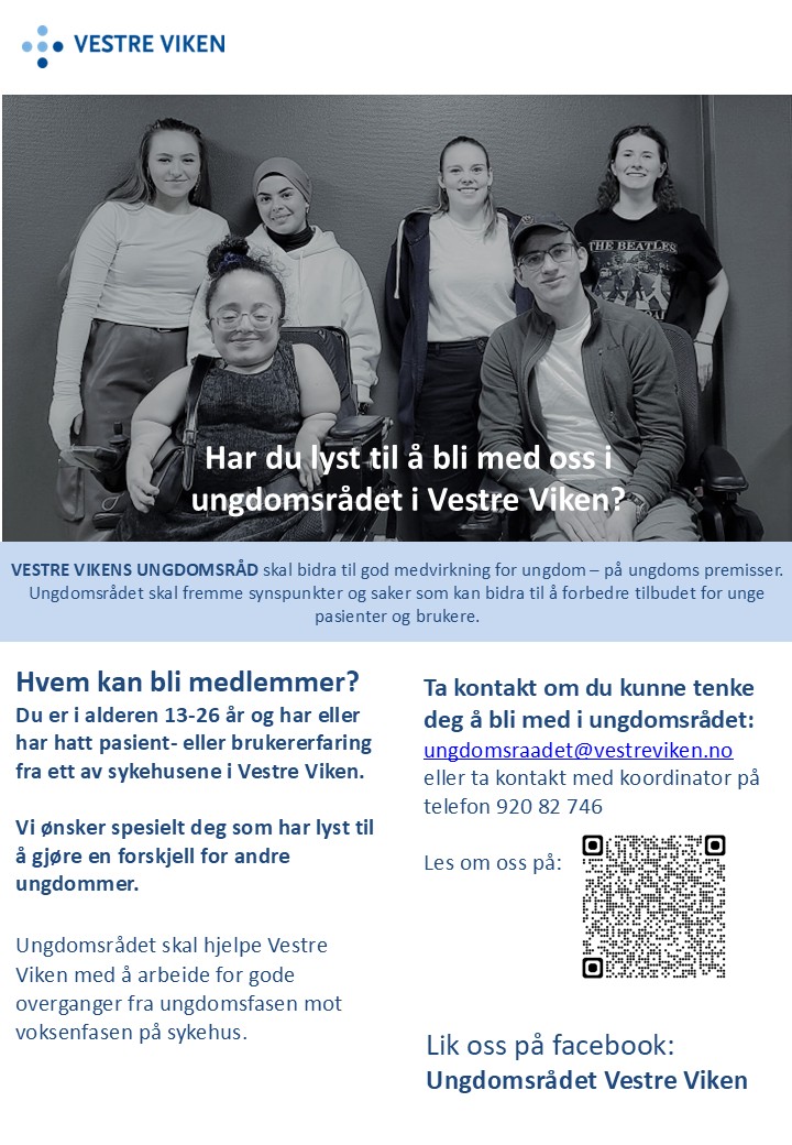 Brosjyre ungdomsrådet i Vestre Viken