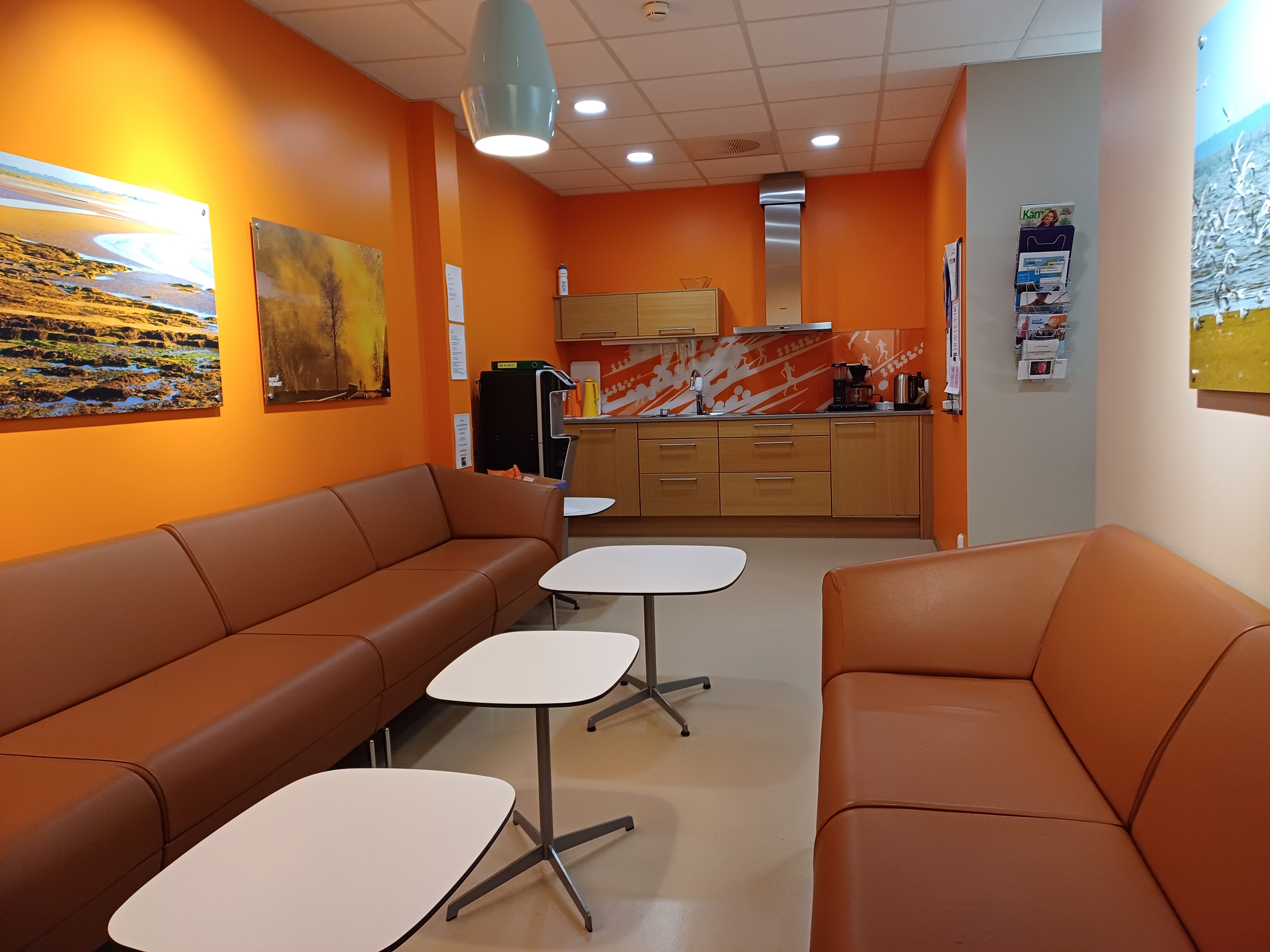 En stue med oransje sofaer