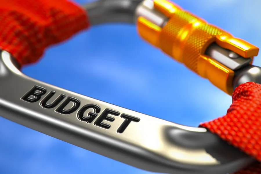 budsjett for 2024